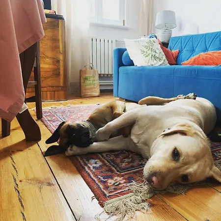 Nyaraló Kolbergarden Olsztyn