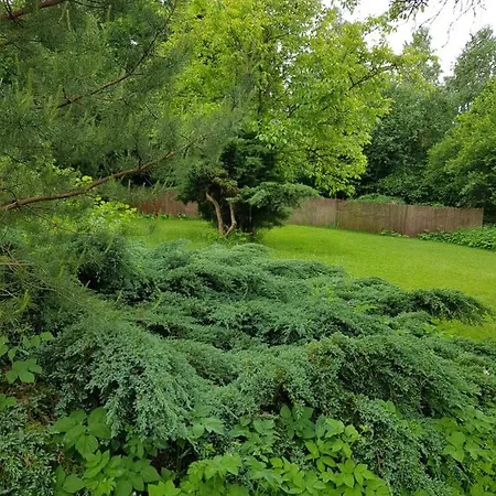 Kolbergarden * 올슈틴